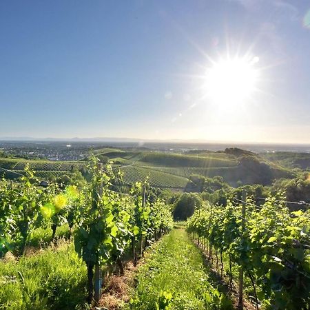 Ferienwohnungen Weingut Pieper Basler Offenburg Zewnętrze zdjęcie